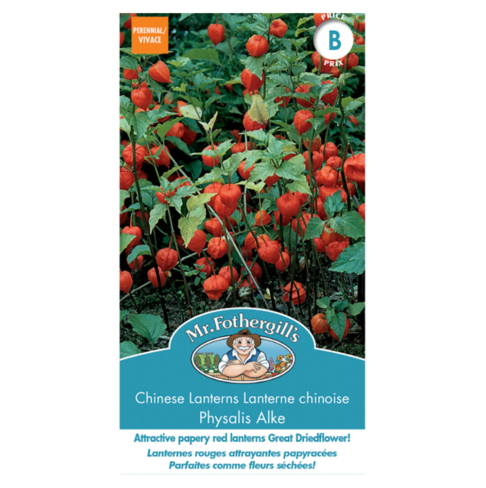 Chinese Lanterns Seeds (Mr. Fothergill's)