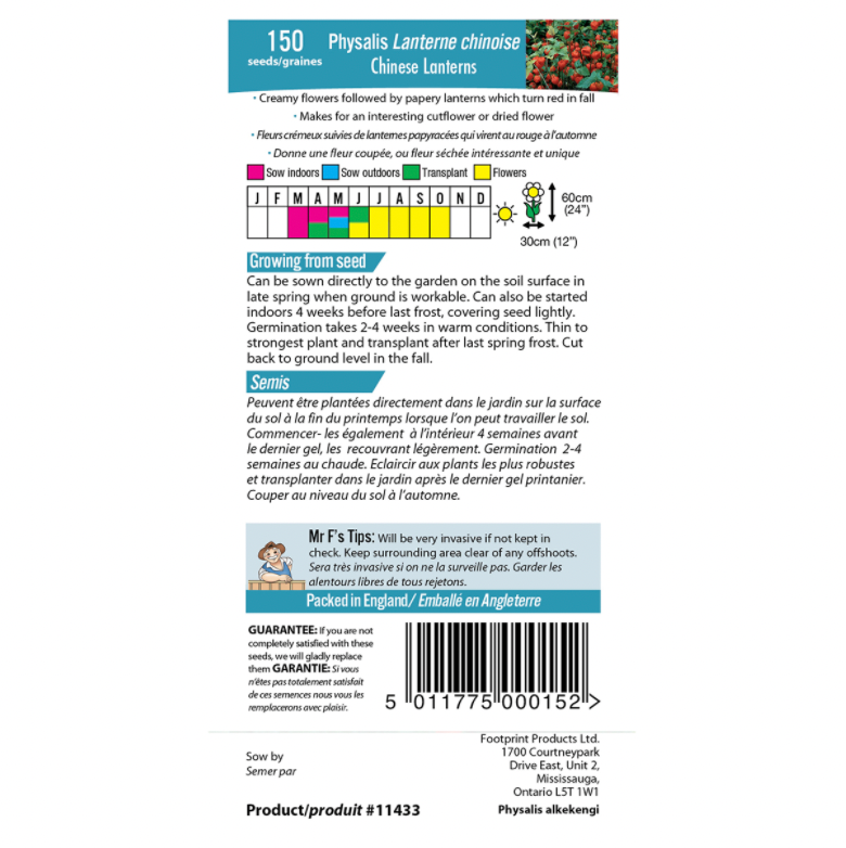 Chinese Lanterns Seeds (Mr. Fothergill's)