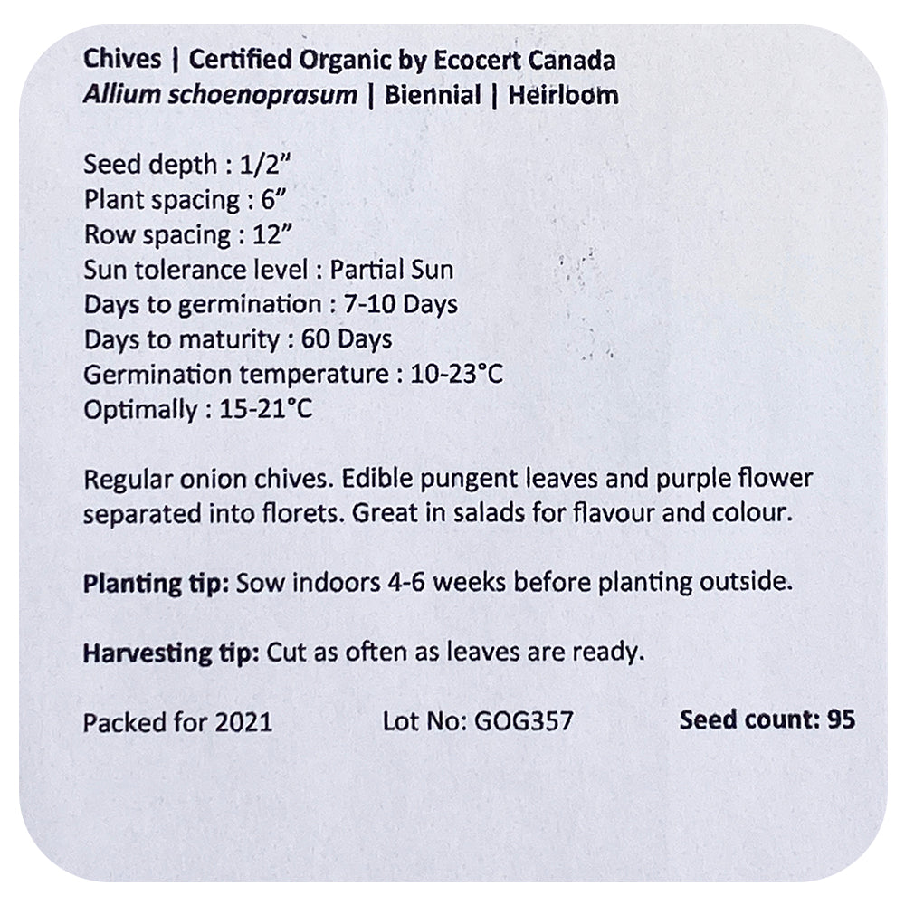Chive Seeds (Organic)