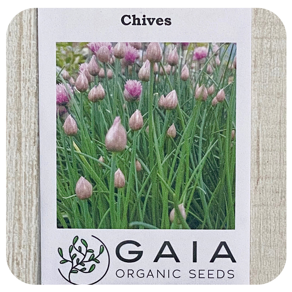 Chive Seeds (Organic)