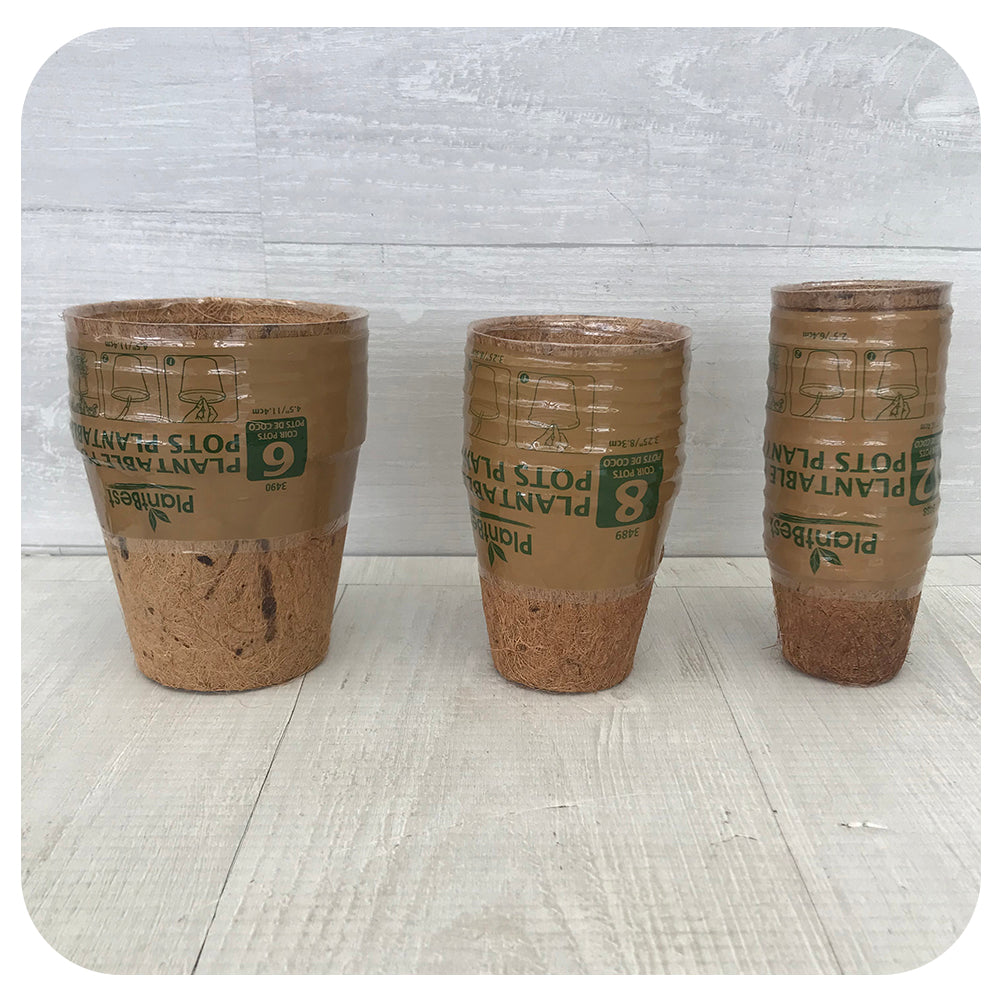 Coconut Fiber Plantable Pots