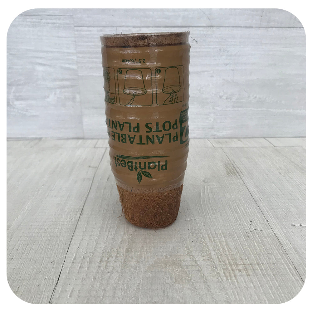Coconut Fiber Plantable Pots