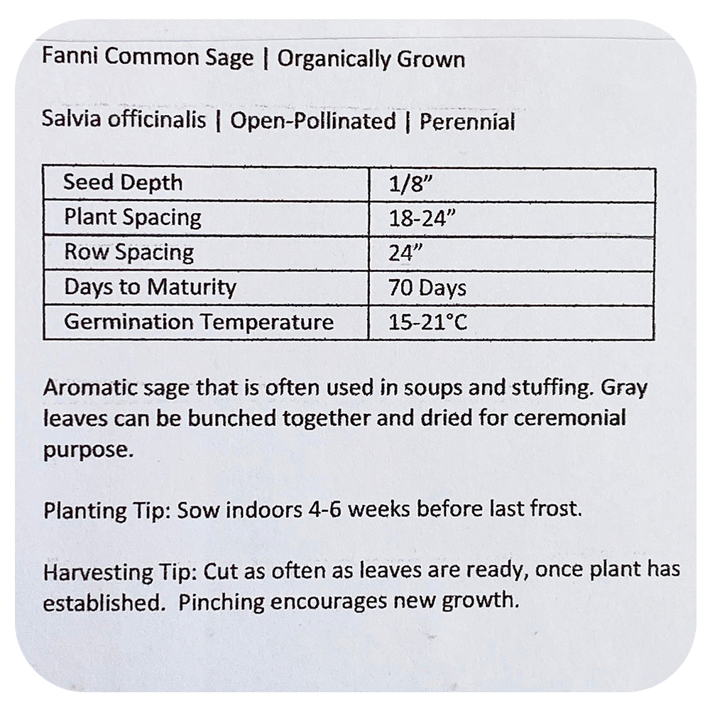 Sage Seeds (Organic)