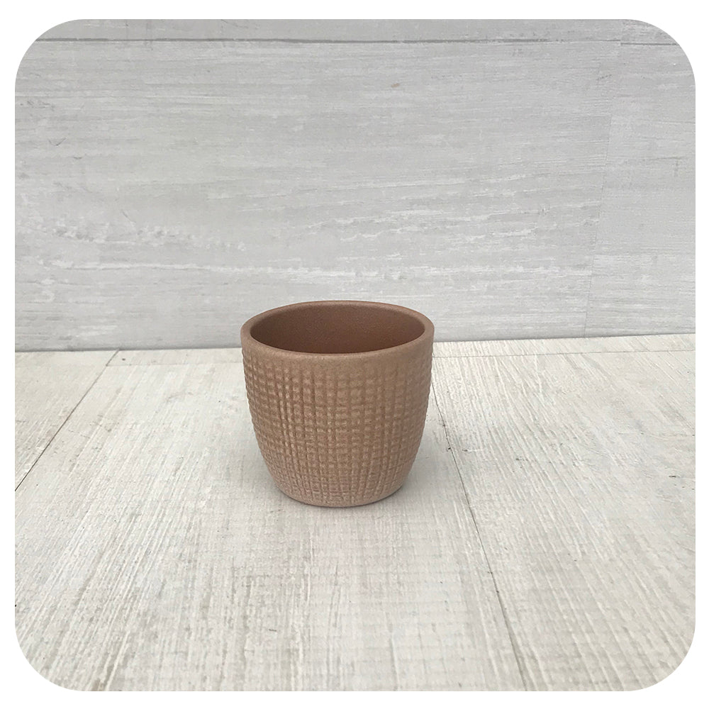 Scheurich Corteza Pot Collection