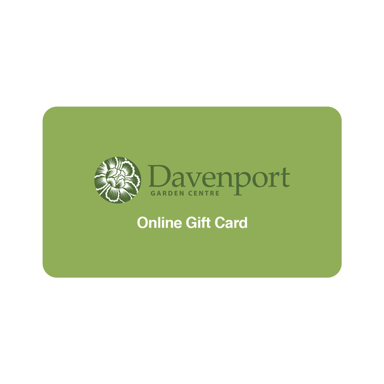 Gift Card (Online and In-store)