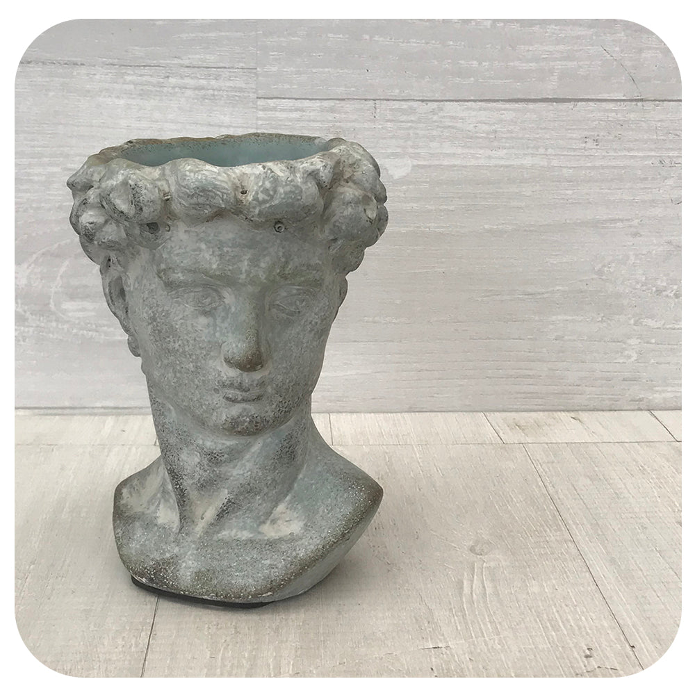 David - Male Head Planter