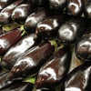 Eggplant - Italian (Organic)