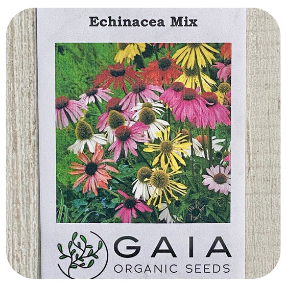 Echinacea Mix Seeds (Organic)