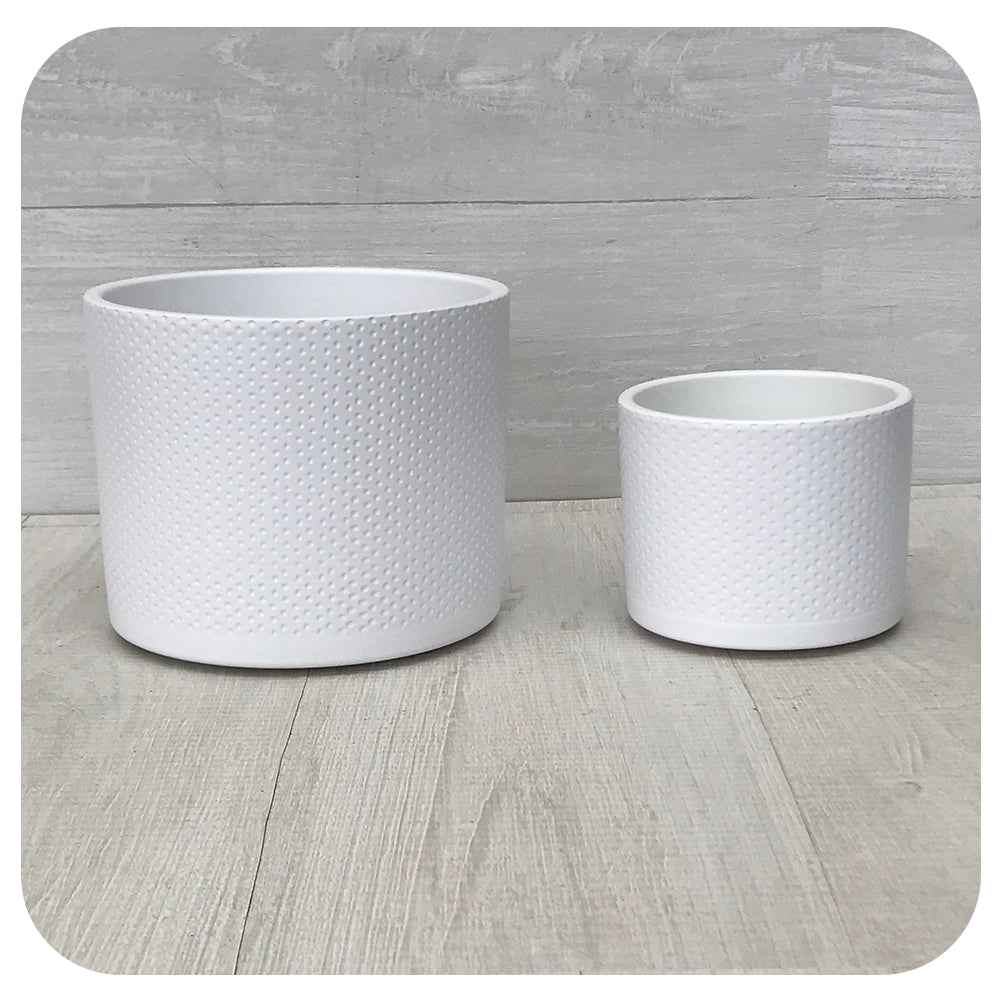 Era Pot Assorted Colours