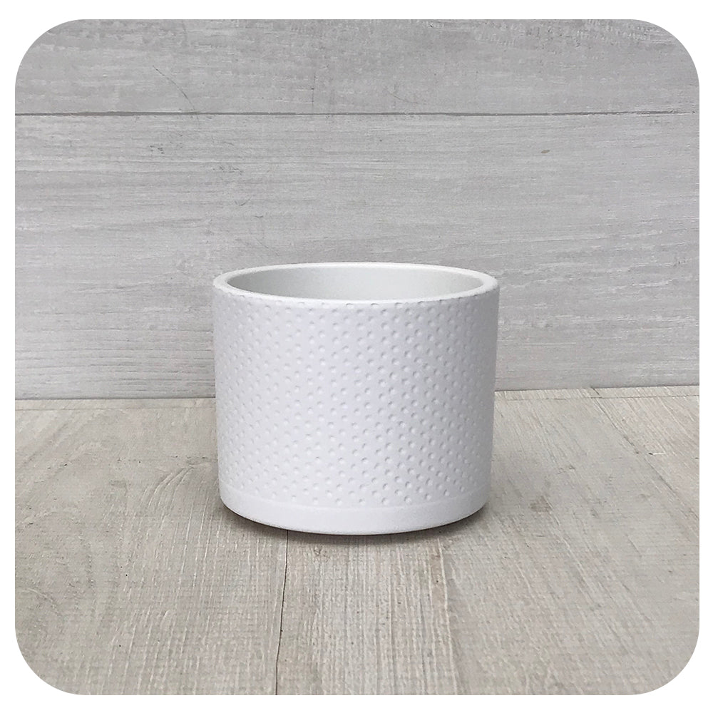 Era Pot Assorted Colours