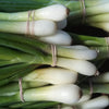 Onion Evergreen Bunching - Organic