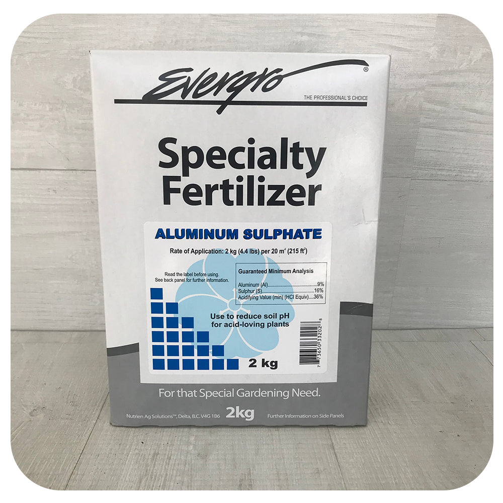 aluminum sulfate for potted plants Aluminum Sulphate by Evergro