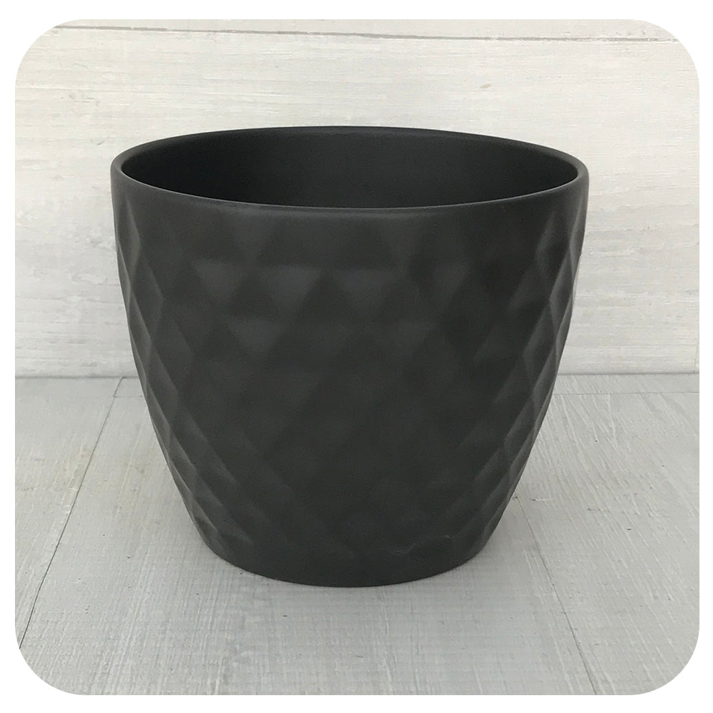 Scheurich Patterned Anthrazit Pot