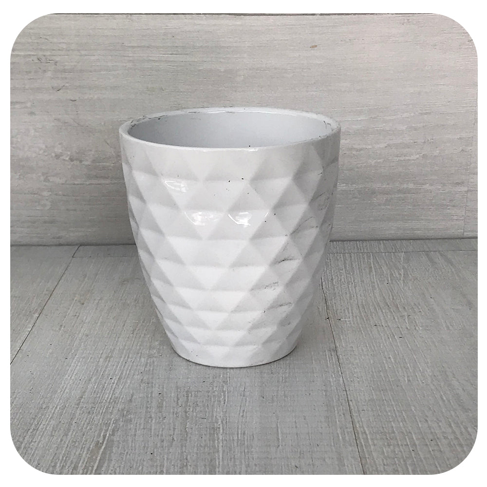 Scheurich Diamond-Patterned Alaska Orchid Pot