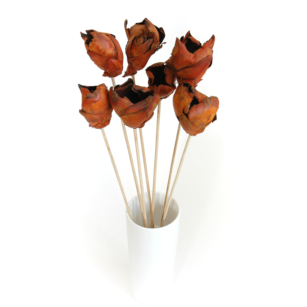 Coco Flower - Natural