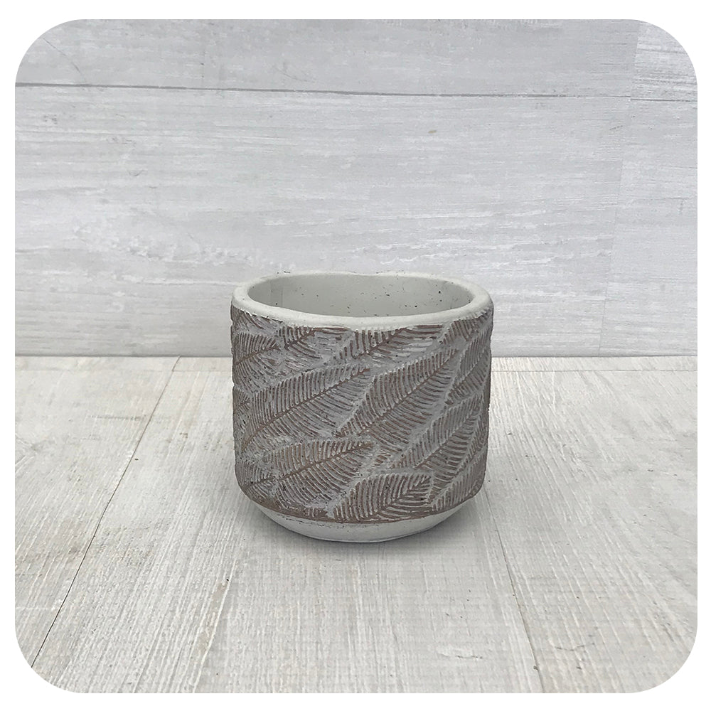 Folia Cement Planter