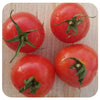 Gardener's Delight Tomato Seeds (Organic)