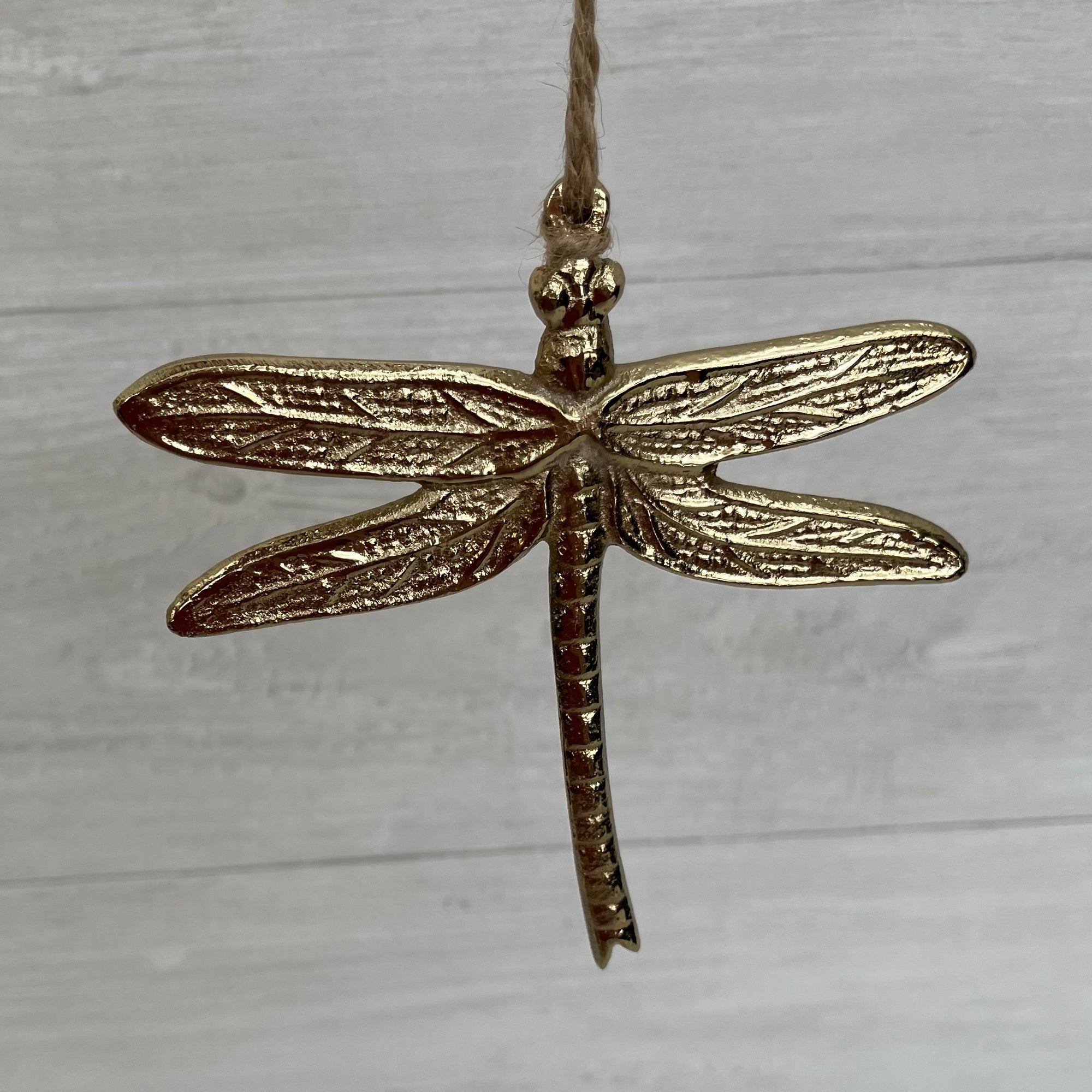 Shiny Metal Dragonfly