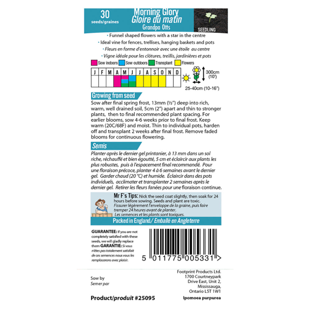 Morning Glory 'Grandpa Otts' Seeds