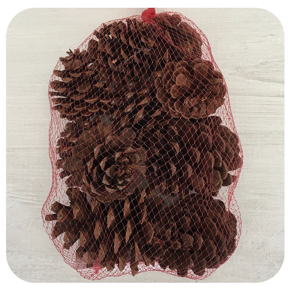 Bag of Pinecones