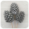 Large Silver Pinecones