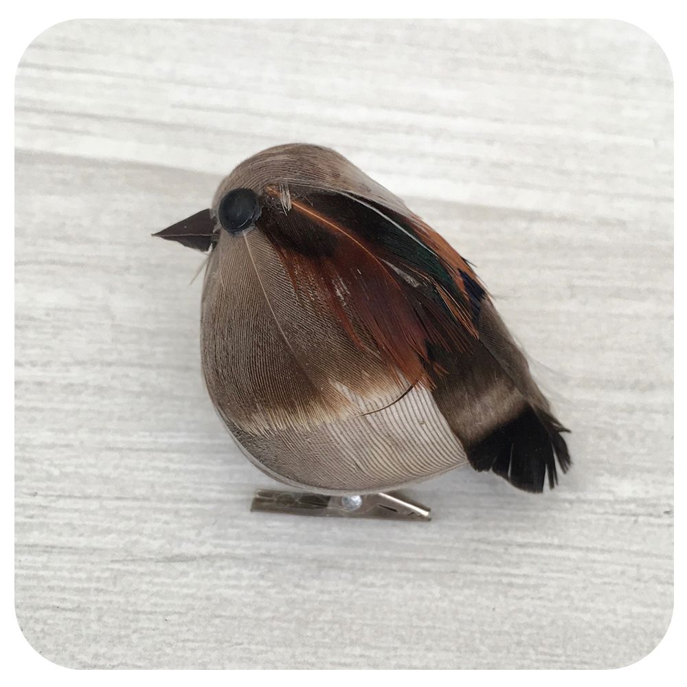 Little Brown Sparrow Clip