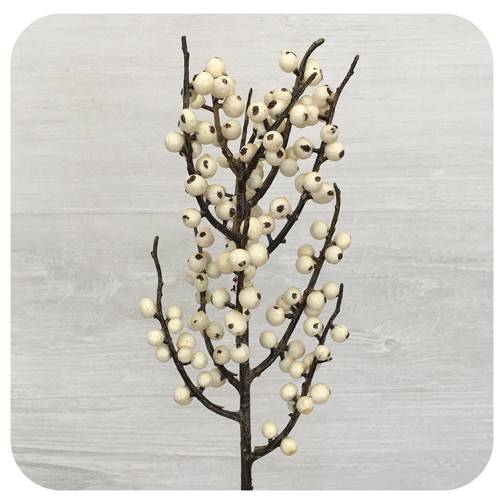 Brown Speckled Berry Spray