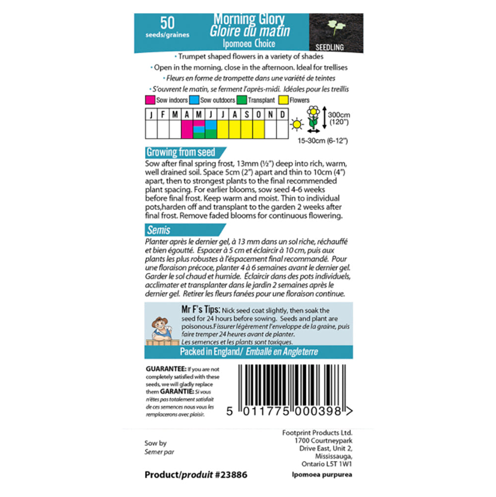 Morning Glory 'Ipomoea Choice' Seeds