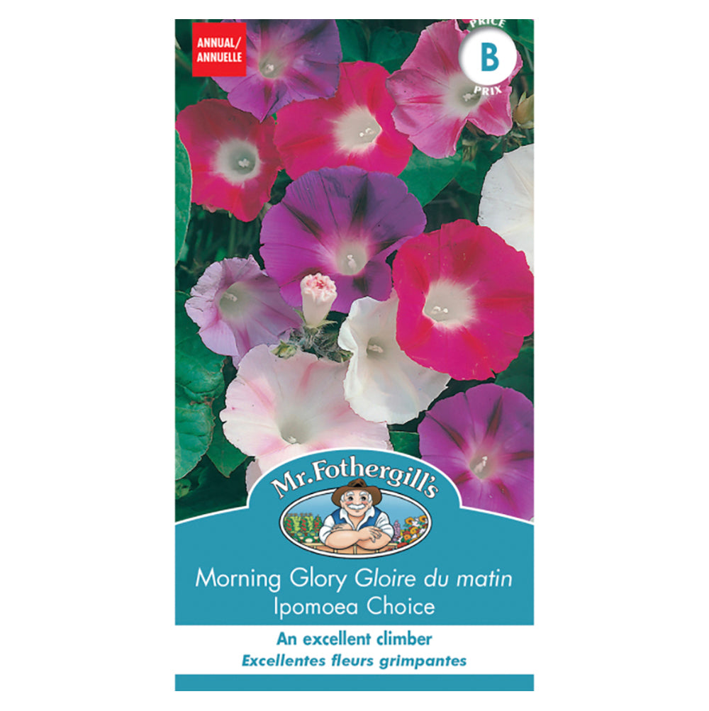 Morning Glory 'Ipomoea Choice' Seeds