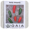 Jalapeño Pepper Seeds (Organic)