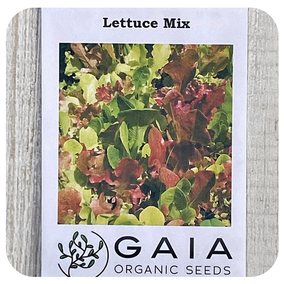 Lettuce Mix Seeds (Organic)