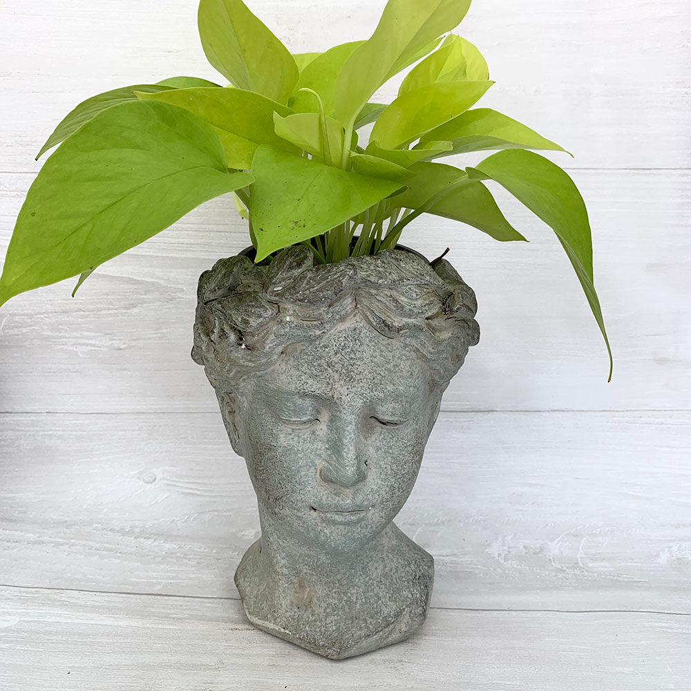 Goddess Head Pot Collection
