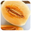 Honeydew Melon Seeds (Organic)