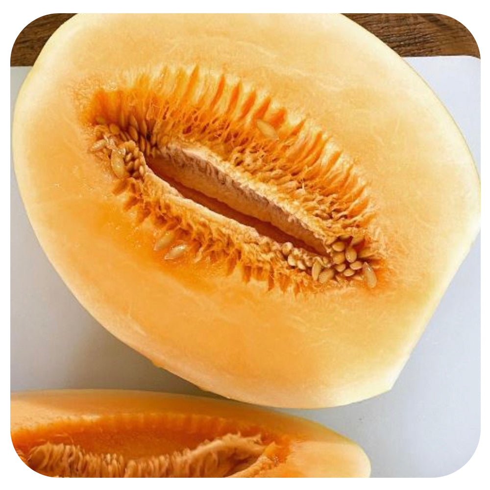 Melon (Organic)