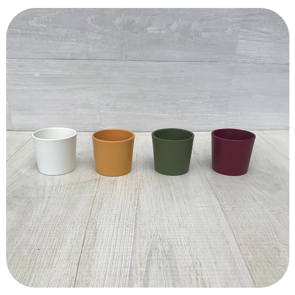 Scheurich Mini Fancy Pot Collection