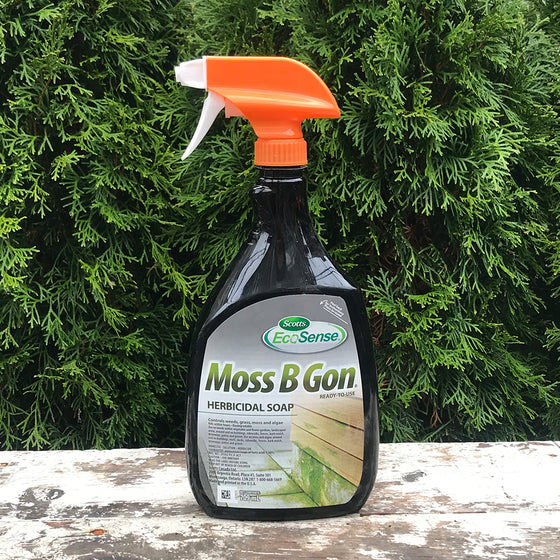 Scotts Ecosense Moss B Gone Herbicidal Soap
