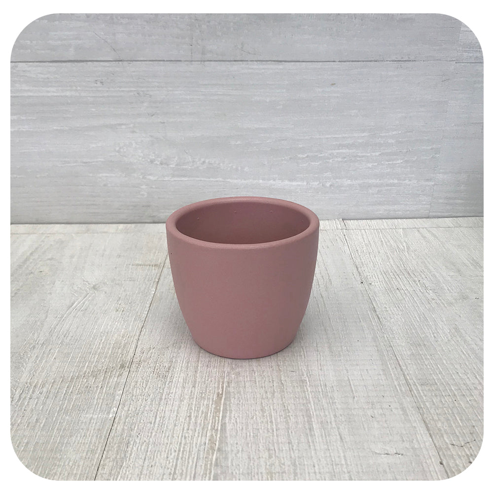 Nubia Cactus Pot