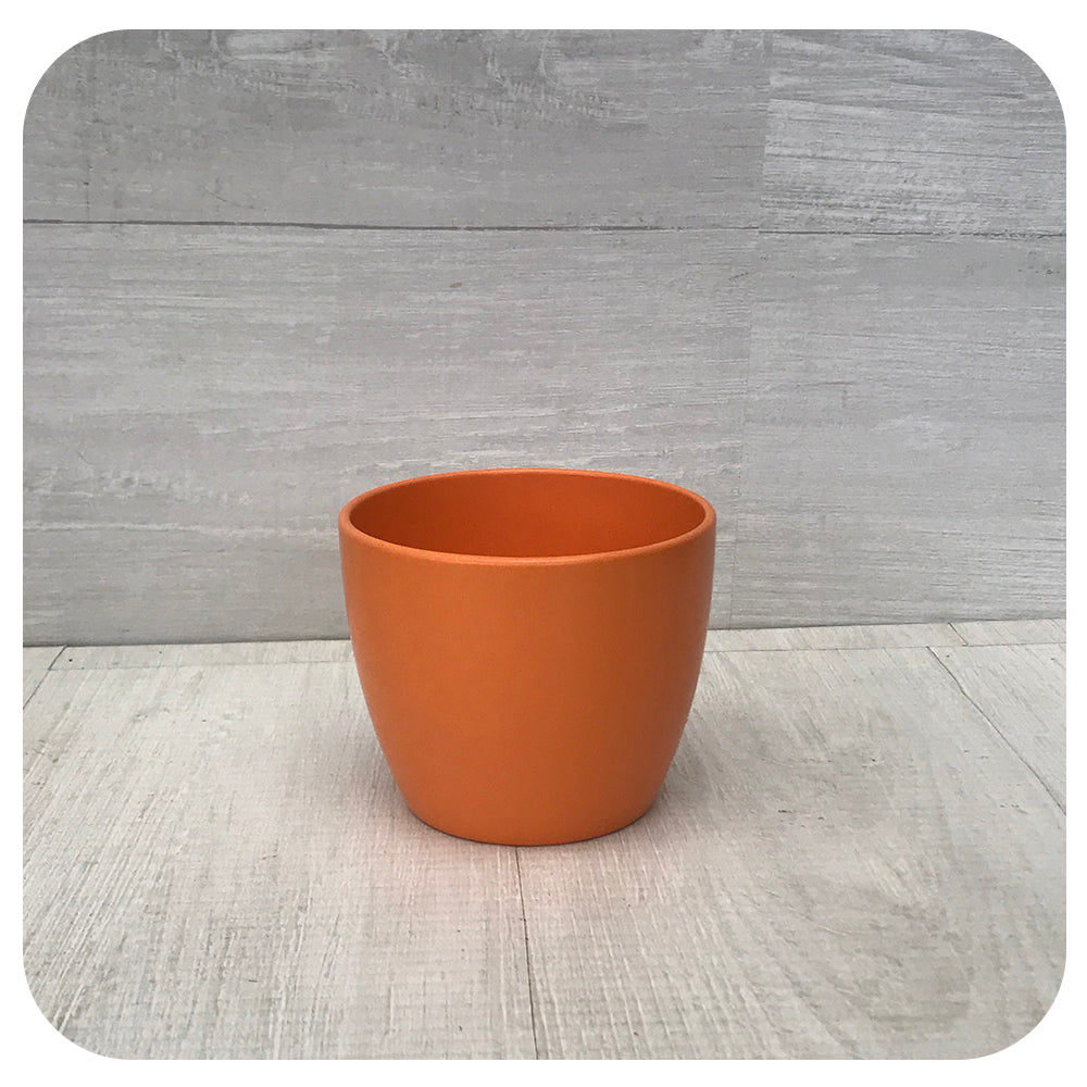 Orange Matte Pot