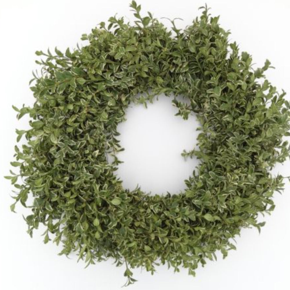 Oregonia Wreath