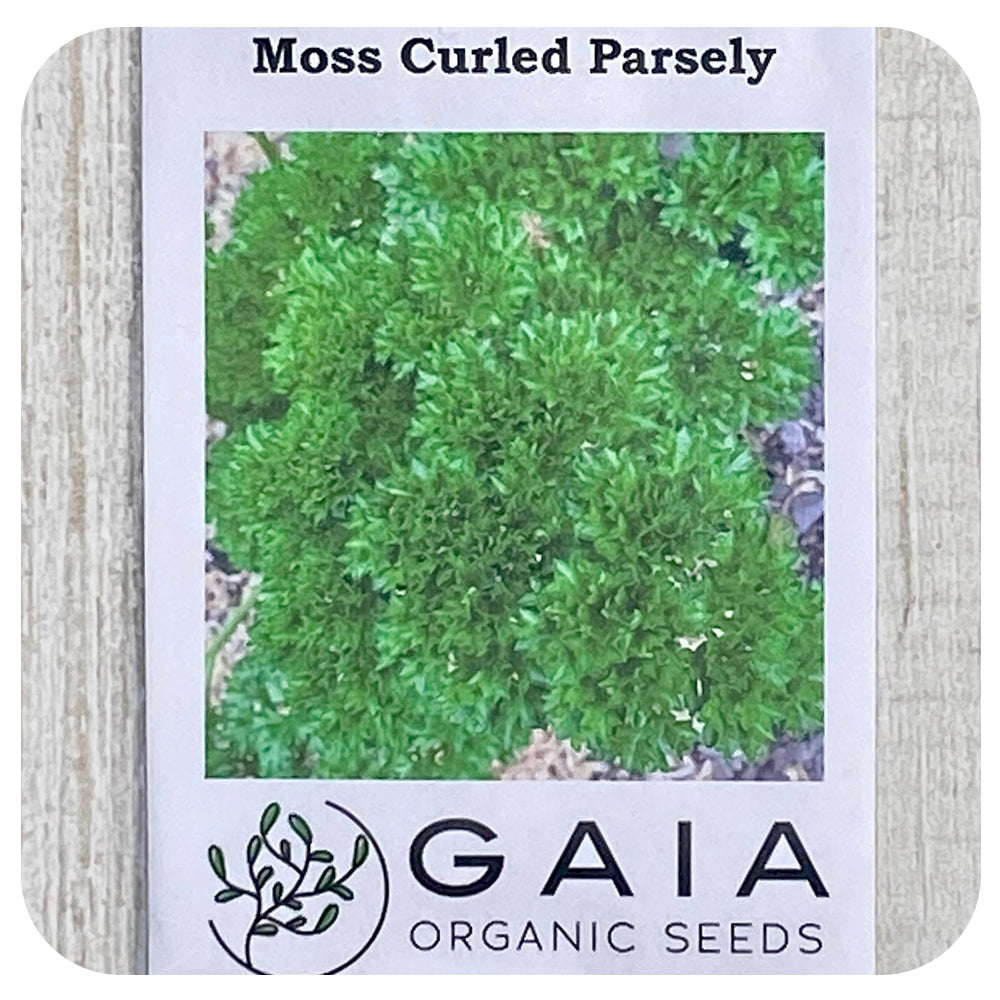 Parsley 'Curled' Seeds (Organic)