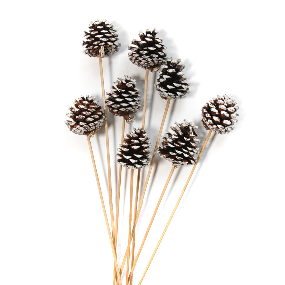 Pinecone on Stem - White Tipped