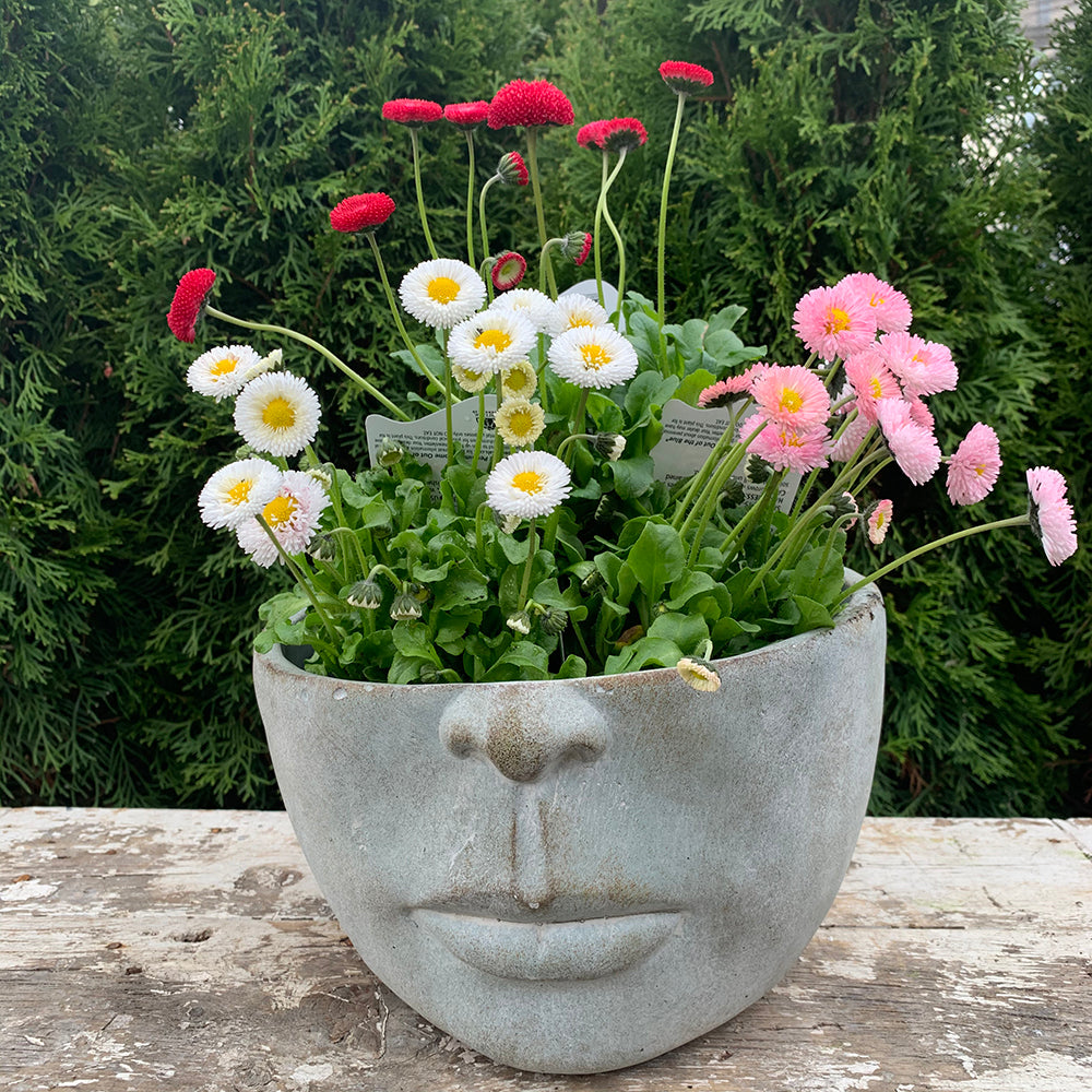 half planter pot Half Face Pot