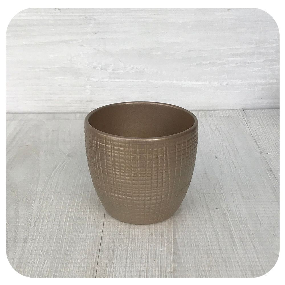 Presentoir Small Planter