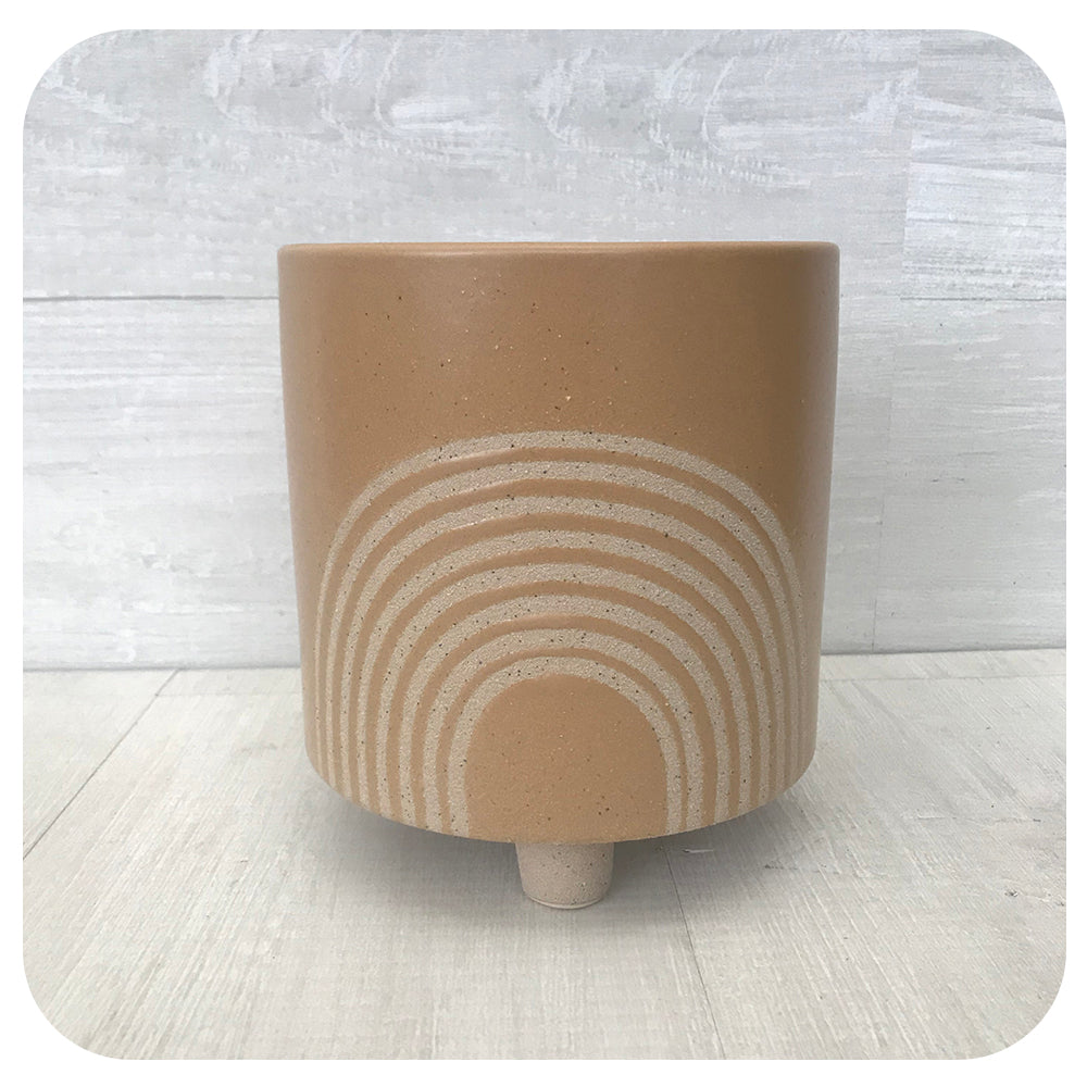 Rainbow Pot