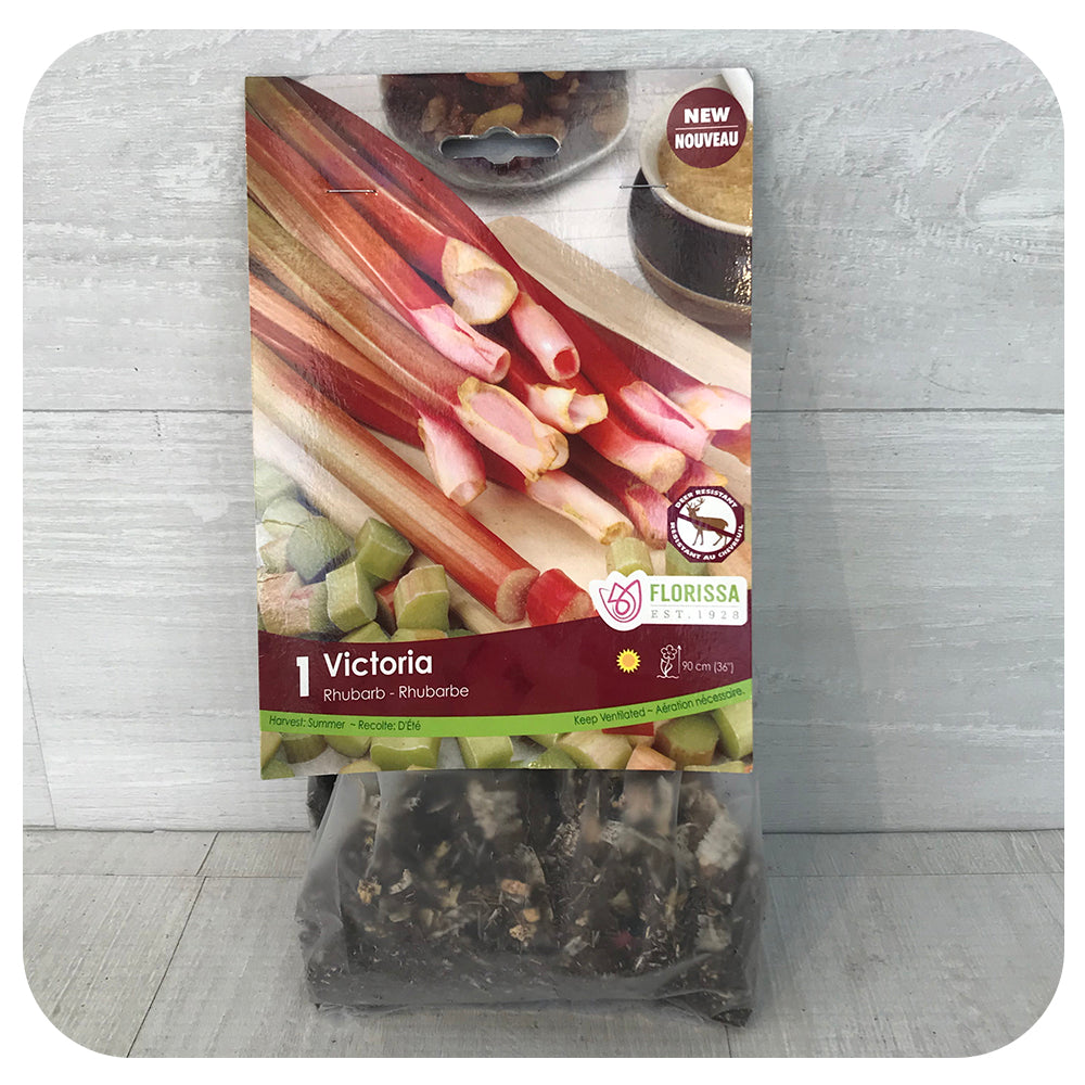 Rhubarb Victoria