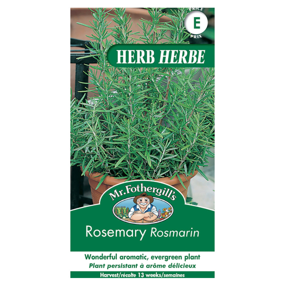 Rosemary Seeds