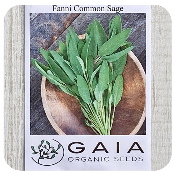 Sage Seeds (Organic)