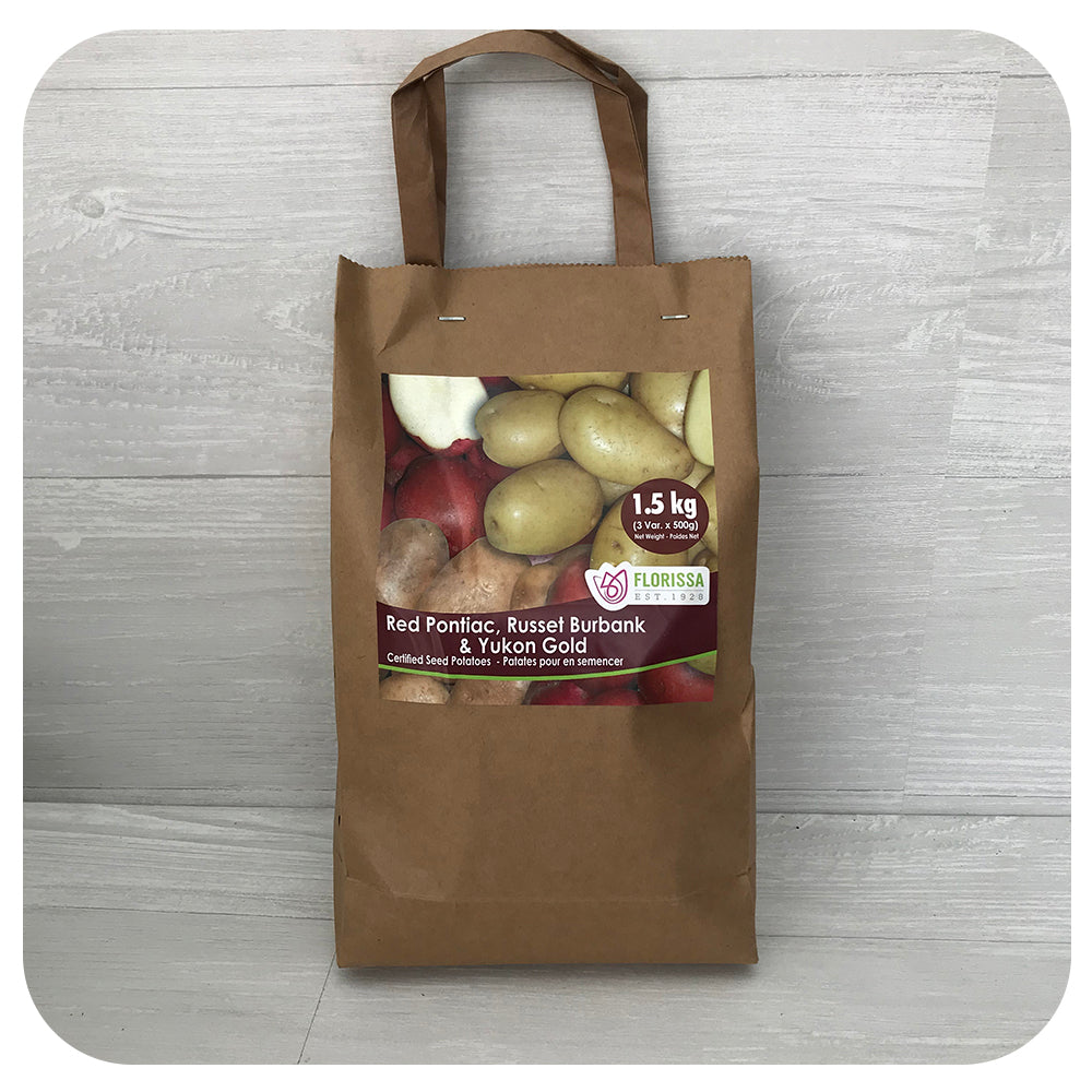 Seed Potatoes Combo Sack