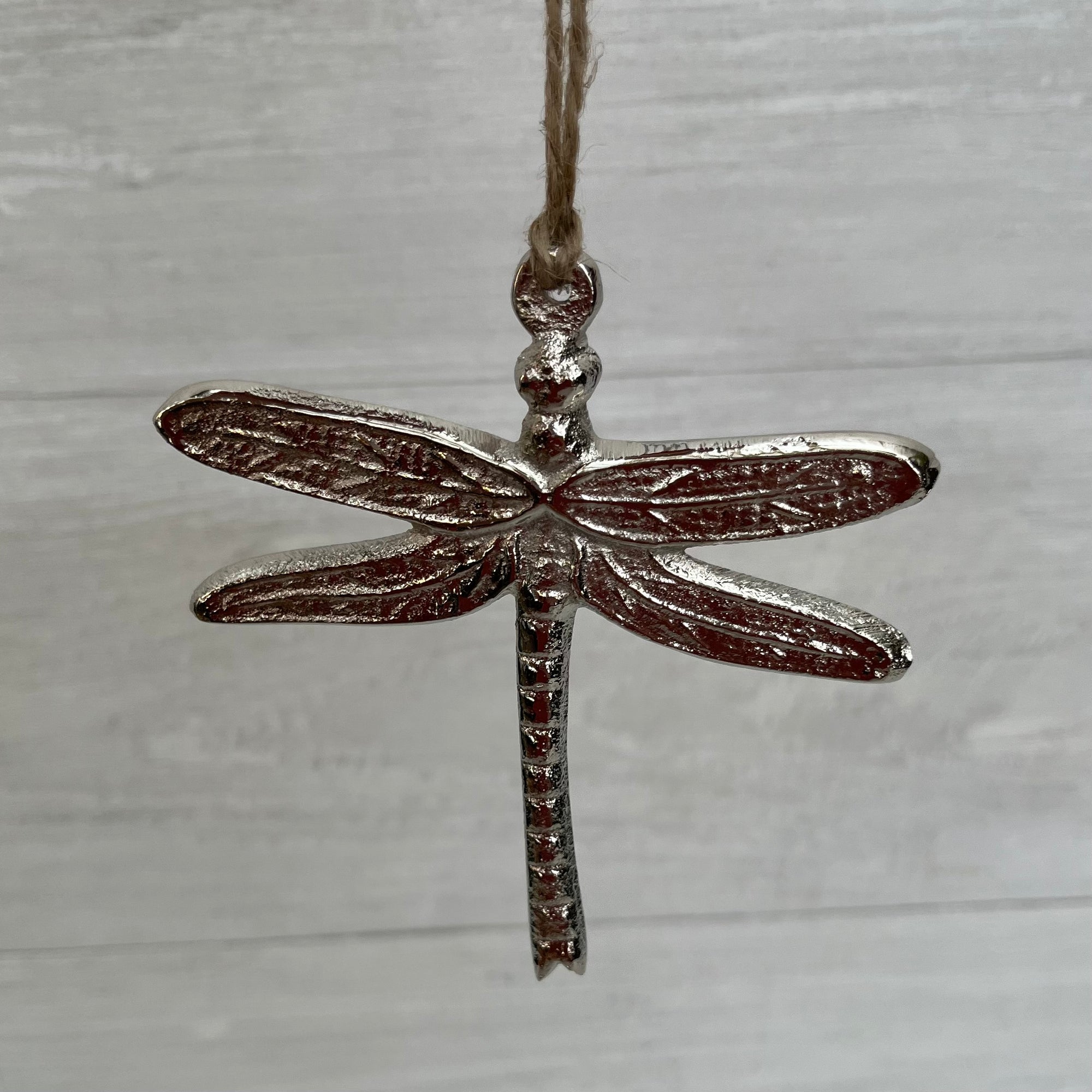 Shiny Metal Dragonfly