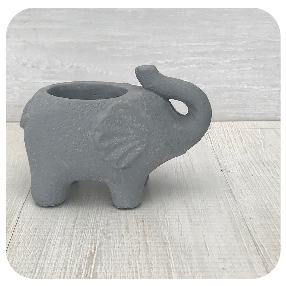 Elephant Planter